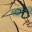 A piece of soul / 一片灵